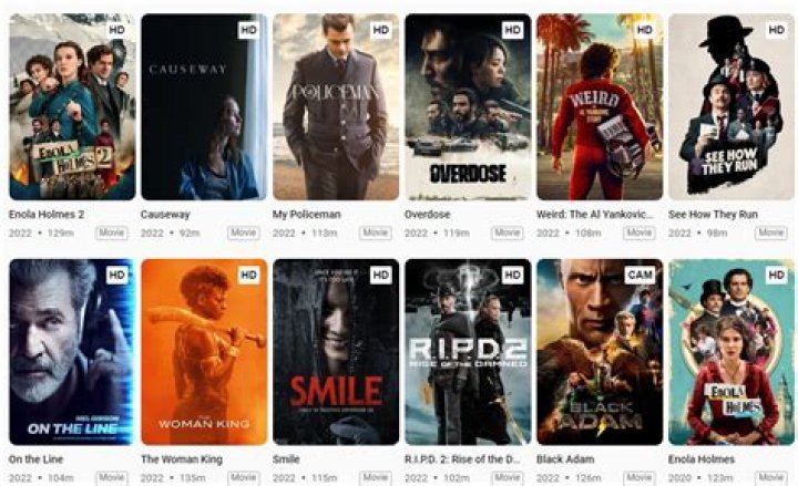 HDMovies4u 2024 Movie Download: A Comprehensive Guide to Streaming and Downloading High-Quality Films